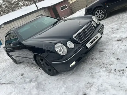 Mercedes-Benz E 240 2001 года за 3 600 000 тг. в Павлодар