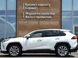Toyota RAV4 Luxe 2020 года за 14 000 000 тг. в Шымкент – фото 3