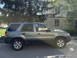 Ford Escape 2004 года за 3 100 000 тг. в Усть-Каменогорск – фото 2