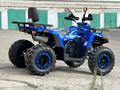 Tao Motor  200 Lux 2023 года за 950 000 тг. в Астана – фото 14