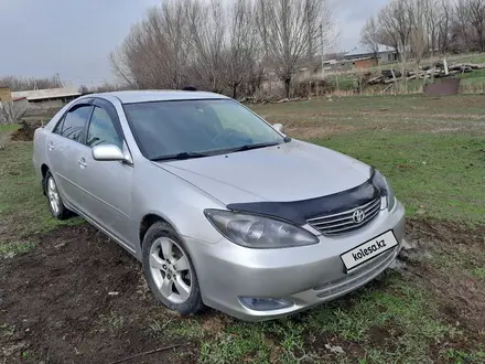 Toyota Camry 2003 года за 5 000 000 тг. в Шымкент – фото 3