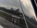 Lexus RX 330 2004 годаүшін7 000 000 тг. в Тараз – фото 15