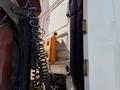 DAF  XF 105 2014 годаүшін27 000 000 тг. в Алматы – фото 38