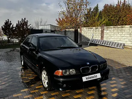 BMW 525 1998 года за 2 700 000 тг. в Алматы – фото 14