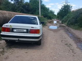 Audi 100, 1991