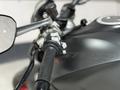 Ducati  Monster (2021-н. В.) 2023 годаүшін6 900 000 тг. в Алматы – фото 11