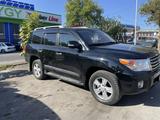 Toyota Land Cruiser диски с резиной в оригинале за 560 000 тг. в Шымкент
