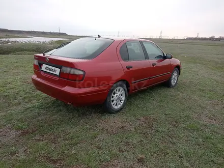 Nissan Primera 1998 года за 1 600 000 тг. в Караганда – фото 5