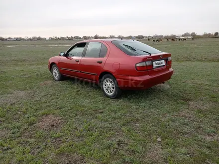 Nissan Primera 1998 года за 1 600 000 тг. в Караганда – фото 8