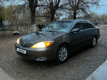 Toyota Camry 2002 года за 4 500 000 тг. в Шымкент