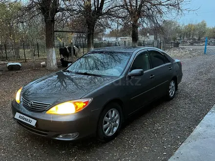 Toyota Camry 2002 года за 4 500 000 тг. в Шымкент – фото 9