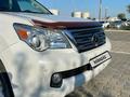 Lexus GX 460 2010 года за 16 000 000 тг. в Актау – фото 10