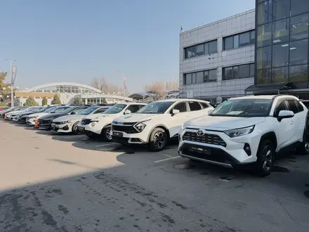 ORBIS AUTO автомобили с пробегом в Алматы – фото 4