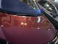 Nissan Sentra 2014 года за 3 800 000 тг. в Алматы – фото 7