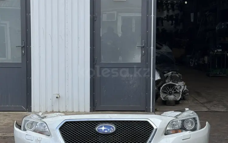 Ноускат фары бампер решётка за 1 000 тг. в Шымкент