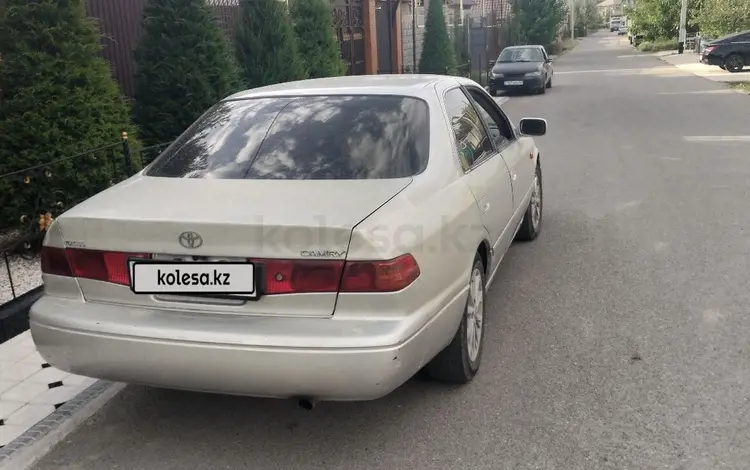 Toyota Camry 2001 года за 3 000 000 тг. в Шымкент