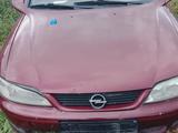 Opel Vectra 1997 годаүшін550 000 тг. в Петропавловск