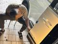Оклейка бронепленкой кузова ремонт лобовых сколов трещин шумоизоляция в Алматы – фото 6