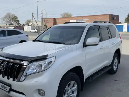 Toyota Land Cruiser Prado 2016 года за 18 100 000 тг. в Павлодар – фото 3