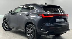 Lexus NX 250 Executive 2022 годаүшін20 500 000 тг. в Алматы – фото 4