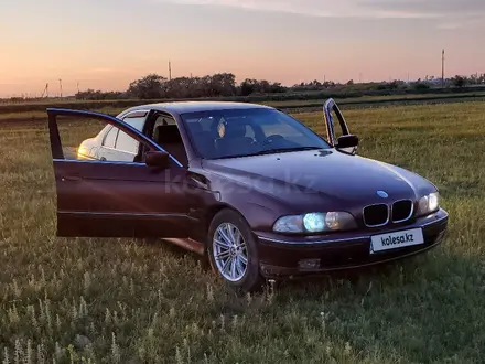 BMW 523 1997 года за 2 600 000 тг. в Костанай – фото 12