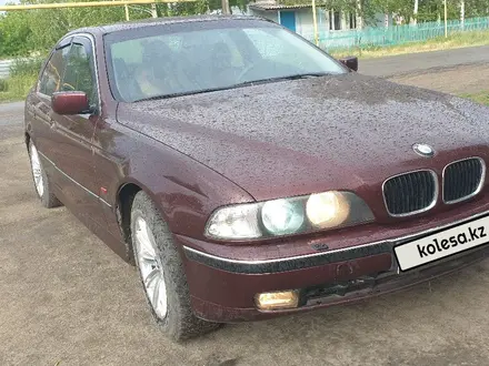 BMW 523 1997 года за 2 600 000 тг. в Костанай – фото 3