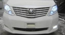 Ноускат Toyota alphard за 650 000 тг. в Астана