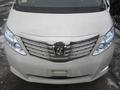 Ноускат Toyota alphard за 650 000 тг. в Астана – фото 2