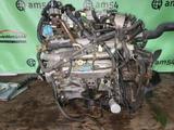Двигатель на nissan cedric 25.35. Ниссан Седрикүшін305 000 тг. в Алматы – фото 4