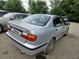Nissan Primera 1998 годаfor1 000 000 тг. в Усть-Каменогорск – фото 3