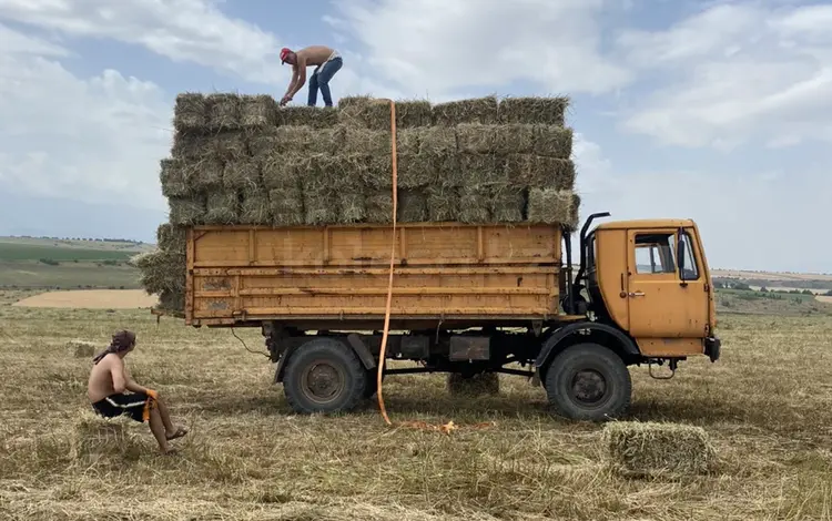 КамАЗ 1993 годаүшін1 600 000 тг. в Шымкент