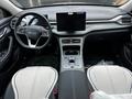 BYD Destroyer 05 Luxury 2025 года за 8 400 000 тг. в Шымкент – фото 11