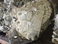 Купить двигатель QR25 2.5 л Nissan Teana АКПП (2AZ 2AR 1MZүшін201 399 тг. в Астана – фото 23