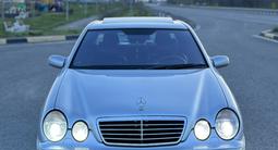 Mercedes-Benz E 55 AMG 2000 года за 7 800 000 тг. в Алматы – фото 4