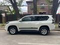 Toyota Land Cruiser Prado 2017 годаүшін19 900 000 тг. в Караганда – фото 5