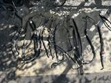 Шланга охлаждения Акпп шланга гур насоса высокого давления за 15 500 тг. в Алматы