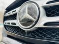 Mercedes-Benz GLS 450 2019 года за 45 000 000 тг. в Алматы – фото 10
