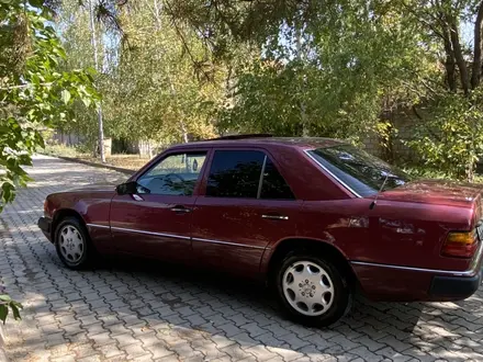 Mercedes-Benz E 220 1993 года за 2 300 000 тг. в Алматы – фото 11