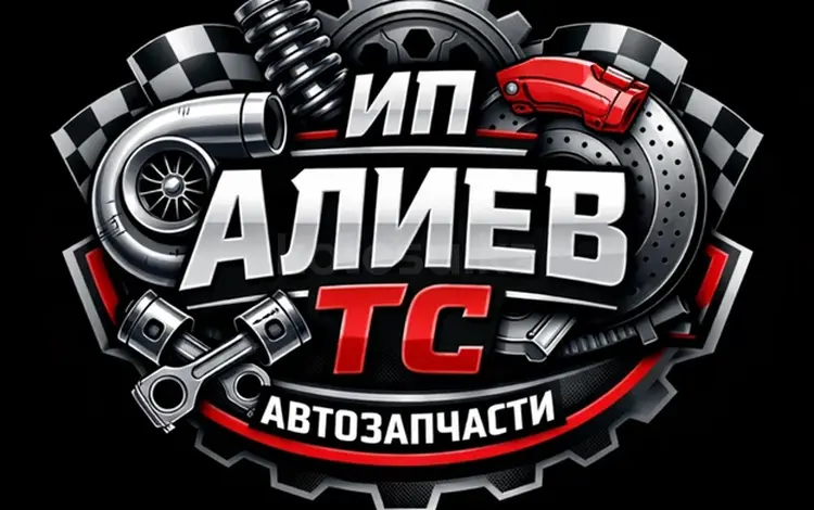 ИП Алиев ТС в Алматы