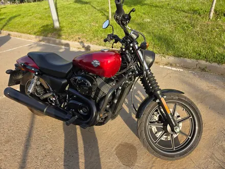 Harley-Davidson  Street 750 2016 года за 3 300 000 тг. в Алматы – фото 2