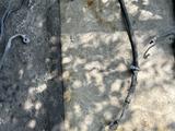 Гур шланга гидроусилитель высокого давления за 15 000 тг. в Алматы – фото 3