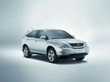 Lexus RX 350 2006 годаүшін200 000 тг. в Алматы