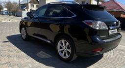 Lexus RX 350 2010 года за 10 800 000 тг. в Семей – фото 4