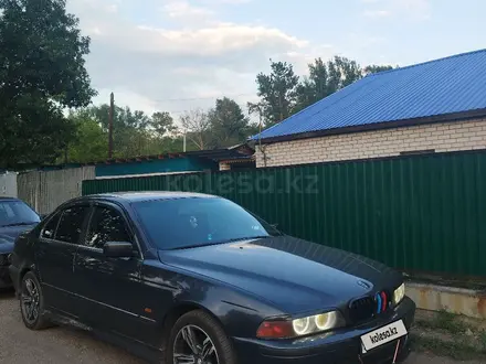 BMW 528 1996 года за 4 100 000 тг. в Усть-Каменогорск – фото 7