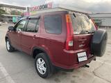 Honda CR-V 2002 годаүшін5 200 000 тг. в Талдыкорган