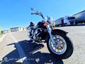 Kawasaki  VN1500 Vulcan 2001 года за 2 200 000 тг. в Караганда – фото 6