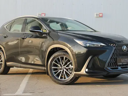 Lexus NX 250 Executive 2026 года за 30 839 900 тг. в Актау – фото 18