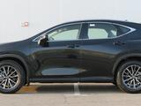 Lexus NX 250 Executive 2025 года за 31 200 000 тг. в Актау – фото 3