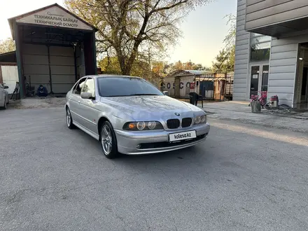 BMW 525 2002 года за 4 999 999 тг. в Алматы – фото 3