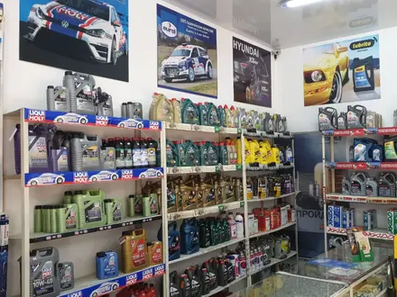 Автомагазин в Алматы – фото 10